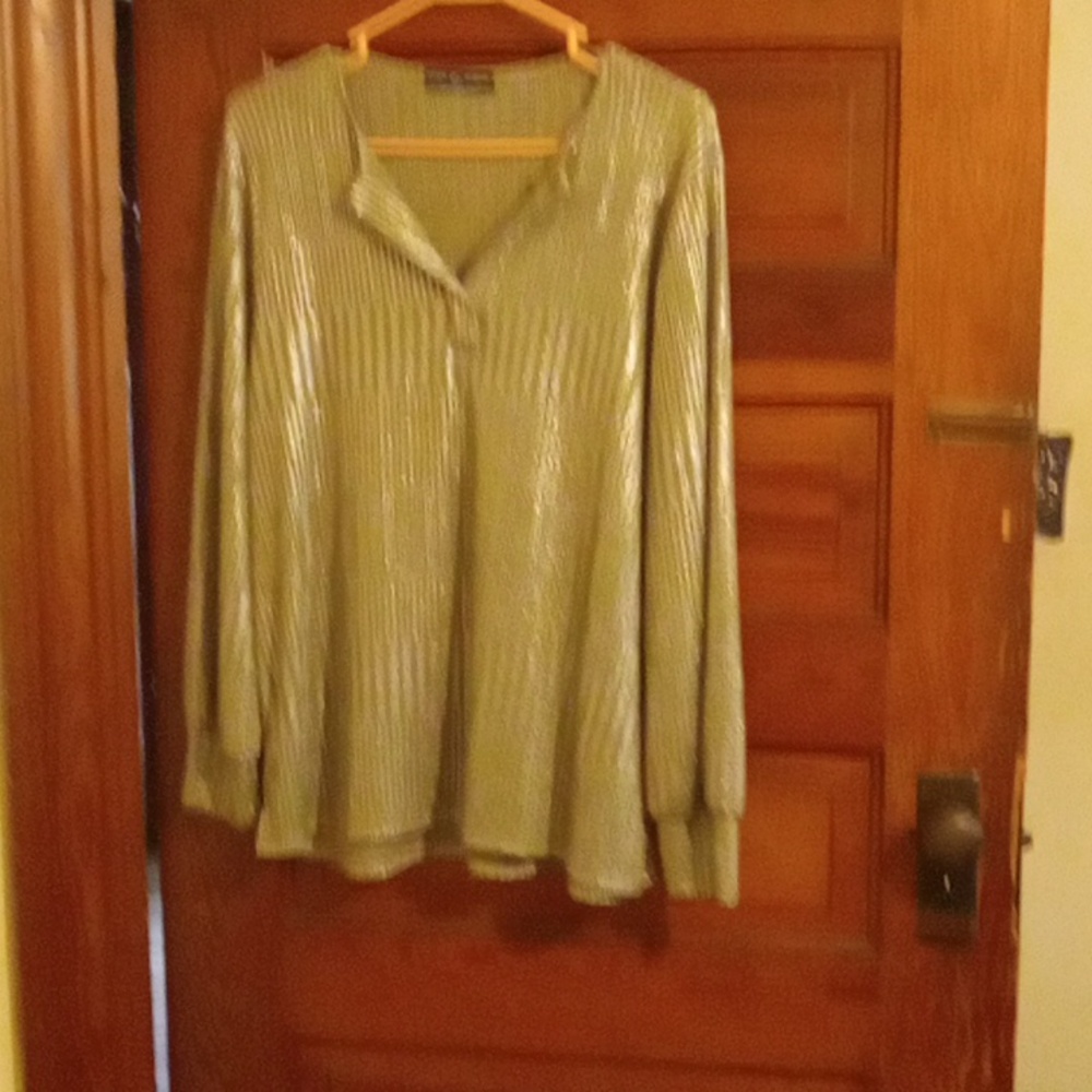 Women's size large silver dress shirt